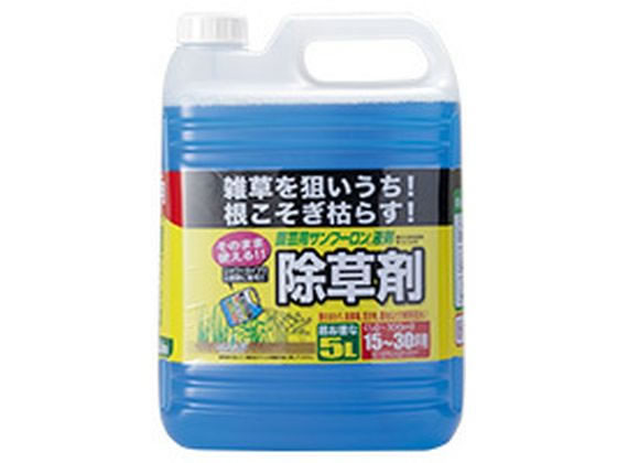 �g���`���[ ���|�p�T���t�[�����t�� �� 500mL #237833