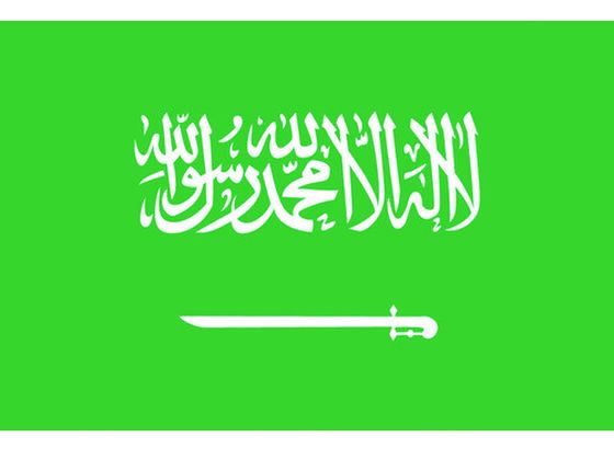 東京製旗 国旗No.2(90×135cm) サウジアラビア 426302