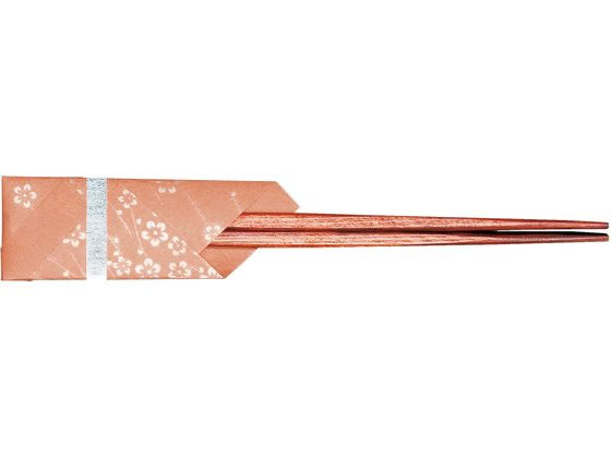 �A�[�e�b�N ���V �ԏ��� 100���� KO-Z03N �~ 6329410