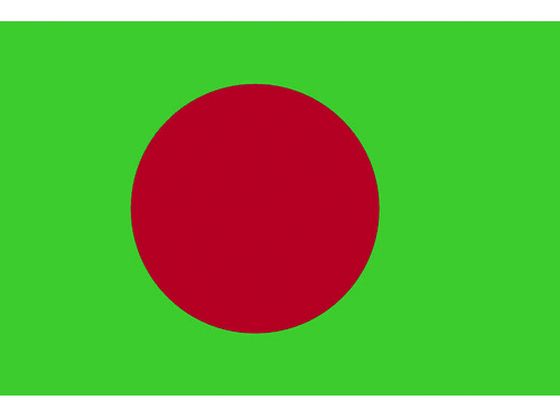 東京製旗 国旗No.2(90×135cm) バングラディシュ 426615 2073817が