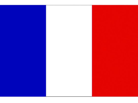 東京製旗 国旗No.2(90×135cm) フランス 426647 2073777が10,052円