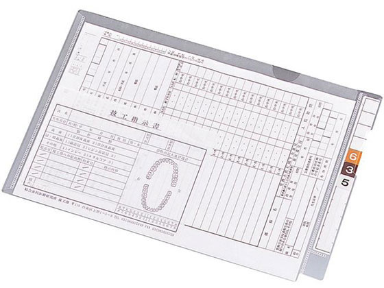 リヒトラブ カルテフォルダー フラップ付シングル横型 B5 100枚 HK2005