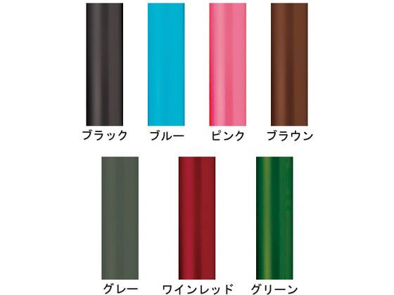 竹虎 ヒューゴステッキ グリーン 425411が3,674円【ココデカウ】