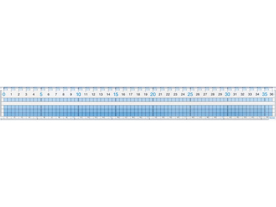 レイメイ 見やすい方眼定規 36cm AJH408