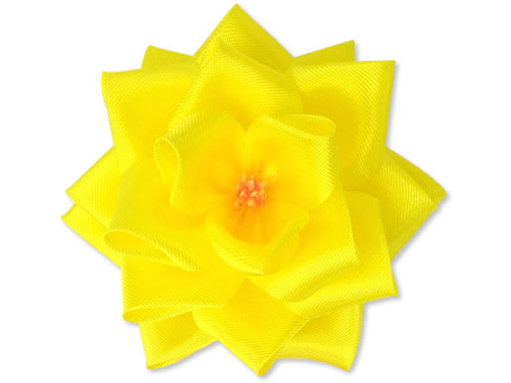 �T�T�K�� ���{���o������ �� �� �^���Ȃ� �Ԍa95mm 12��