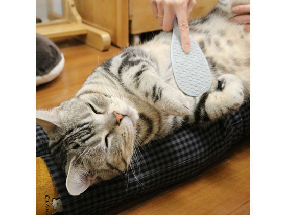 ドギーマンハヤシ なで猫 にゃん しゃもじが426円 ココデカウ