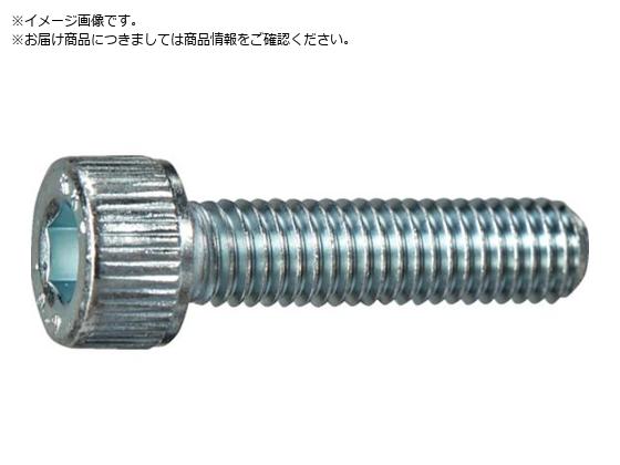 TRUSCO Zpt{g jN SlW M6~16 10{ ʃpbN Lbv{g CAP Y806-0616