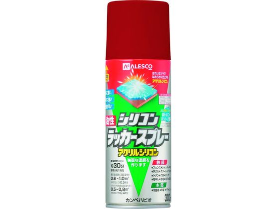 KANSAI VRbJ[Xv[ bh^bN 300ML 00 587644362300