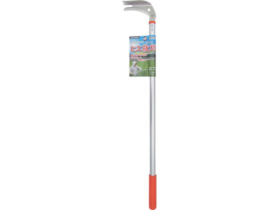 Oz qG IW 0 868