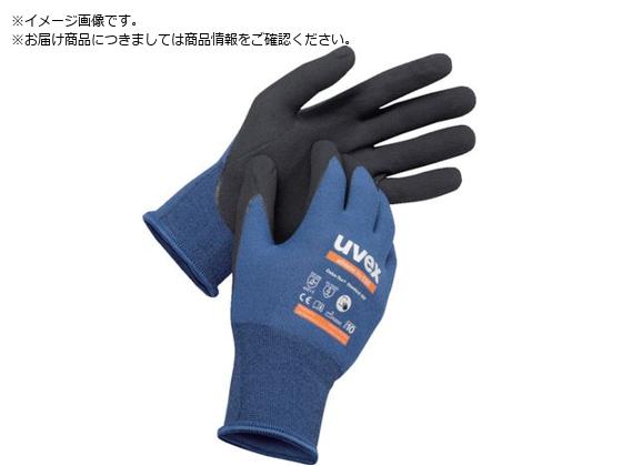 UVEX jgw AXeBbN CgESD L 6003569