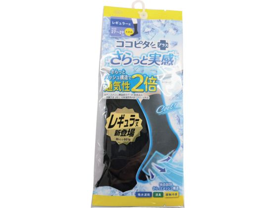 okamoto RRs^Ǝ nN[ 27-29