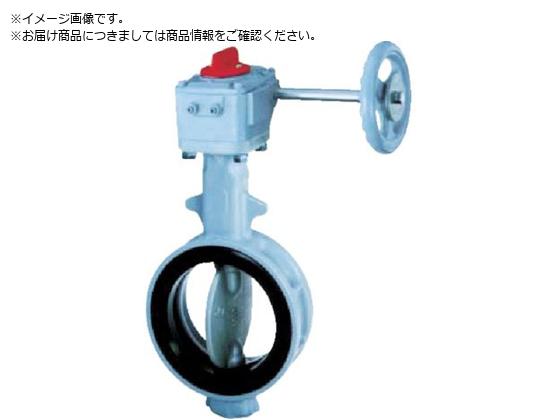 b 700G-2U JIS10K FCD450 SCS14 NBR 80A700G-2U-80-S-N