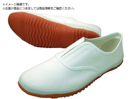 쑽 낤 DK500 zCg 27.0 DK500-WH-27.0