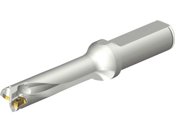 SANDVIK RhDS20nh 465 DS20-D1600L20-04 465