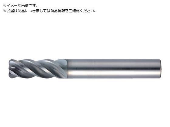 MOLDINO ���d���W�A�X�G���h�~�� �G�|�b�NSUS�}���` EPSM4070-R0.5-PN EPSM4070-R0.5-PN