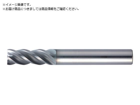 MOLDINO �G�|�b�NSUS�}���` EPSM4160-PN EPSM4160-PN