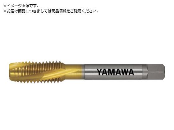 } pʂ茊pXpC^bv F-SL P4 M12X1.75 F-SL-M12