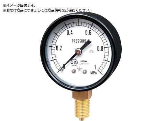 �E�� ��ʈ��͌v A�g���^�E��60 ���̓����W0�`0.50MPa G211-111-M-0.5MP