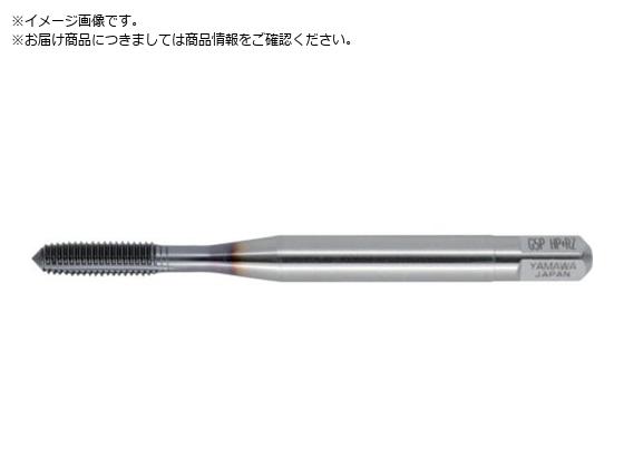 } nCptH[}X[^bv HP+RZ G4 M1.2X0.25 B HPRZ-G4-M1.2X0.25-B