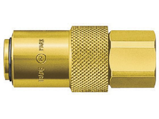 ^Jv ӂfSFKM X-100 04489 K-02SF BRASS FKM