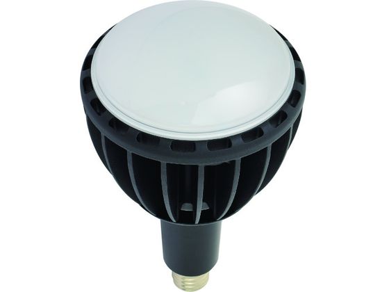 NICHIDO LED GRrbN100W E39 F Ch L100W-E39J-WBK-50K