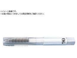 OSG |Cg^bv HRR[eBO NiϔMp jt@C˂p 1 2 R20 ˂29mm 3901291 WHR-NI-POT-GH5-1 2-20UNJF 3901291