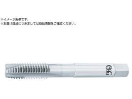 OSG |Cg^bv HRR[eBO NiϔMp [g˂p M6 sb`1mm ˂24mm 3901219 WHR-NI-POT-STD-M6X1 3901219