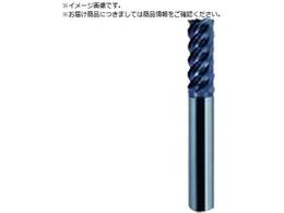 �E�H�[�^�[�~���Y WM���\�����H�X�N�G�A�G���h�~�� 4�~11�~51mm AlTiN WHS645A061650