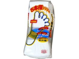 �����ӂ� 5�{�w�\�b�N�X WL8-5 5�\�N�O�~ �T���V