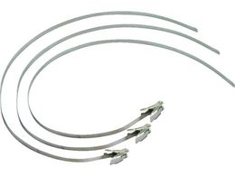 JAPPY �X�e�����X�o���h�Z�b�g 10�{���� WST10NJP06M