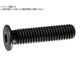 TRUSCO ���ᓪ�L���b�v�{���g �X�`�[�������� M4�~10 11�{�� �Z�p���t�{���g CAP Y153-0410