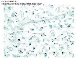 CAMO v M[X~^[ XmE 3mX3m XRM3X3SC