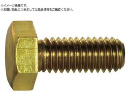 TRUSCO �Z�p�{���g ���� �S�l�W M6�~10 11�{�� Y501-0610