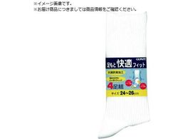 GUNZE �����Ɖ��K�t�B�b�g4���g�\�b�N�X25�z���C�g 04094-25-025