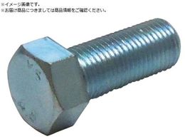 DAIDOHANT HP �זڃ{���g 12X25 �s�b�`1.25 1�{�� 10185787