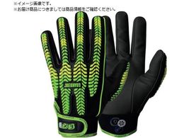 GranberG ϐؑn@ۑϏՌ hEh^Cv