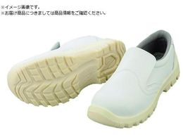 AS �A�Y�s���A�Ód���S�C TCSS-N 24.0CM 1-2291-45