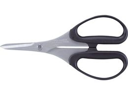 ALLEX zr[p͂݃v[ 15132