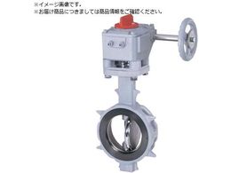 b o^tCou JIS10K 150A 304YA-2U SCS13A SCS13A R-PTFE MA 304YA-2U-150-S-R