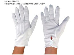 ۘaP~J iCWׂ zbNt MTCY 342-M