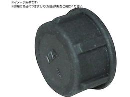 IWA  PP  Lbv 49CAP25P