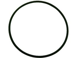 �����Z�C O�����O 4D G-25 5�� �Œ�p�E�ϔM�E�ϖ��^�C�v ���a:24.4mm ���a3.1mm 4��D �t�b�f�S�� FKM 4D-G25