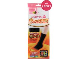 okamoto �R�R�s�^���������������M�����[��21-23�u���b�N535-810