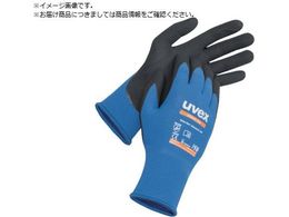 UVEX jgw AXeBbN Cg S 6002767