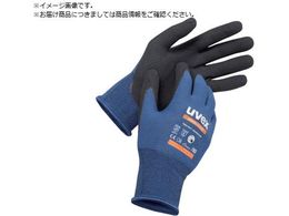 UVEX jgw AXeBbN CgESD M 6003568