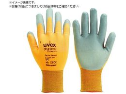 UVEX tBm~bN GbNXtH[ HV S 6005467