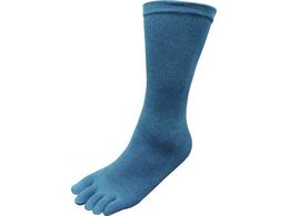 ��B 5�{�w�\�b�N�X �J���[4���g 641