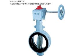 b 700G-2U JIS10K FCD450 SCS14 NBR 80A700G-2U-80-S-N