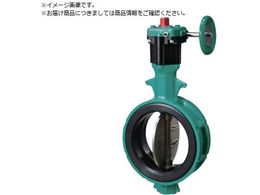 b 700Z-2F JIS10K ADC12 SCS13 EPDM 125A700Z-2F-125-S13-E