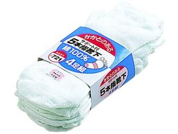 �����ӂ� 721 �J�J�g�t5�{�w �T���V 4���g 721